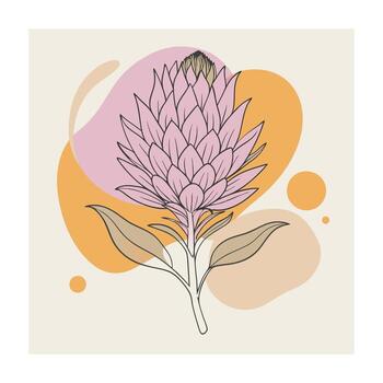 mano dibujado diseño botánico elementos colección vector
