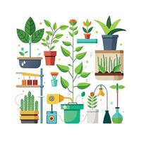 Hand drawn design botanical elements collection vector