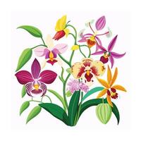 Hand drawn design botanical elements collection vector