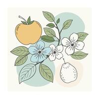 Hand drawn design botanical elements collection vector