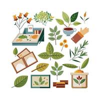 Hand drawn design botanical elements collection vector