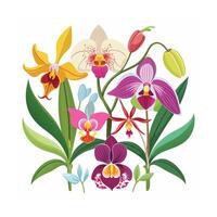 Hand drawn design botanical elements collection vector