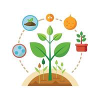 Hand drawn design botanical elements collection vector