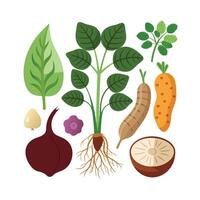 Hand drawn design botanical elements collection vector