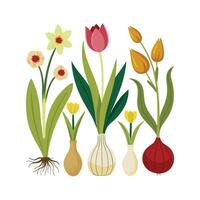 Hand drawn design botanical elements collection vector