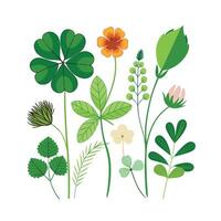 Hand drawn design botanical elements collection vector
