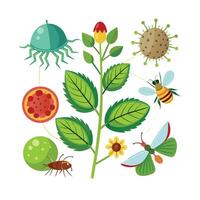 Hand drawn design botanical elements collection vector