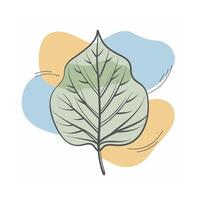 Hand drawn design botanical elements collection vector