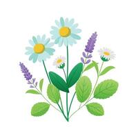 Hand drawn design botanical elements collection vector