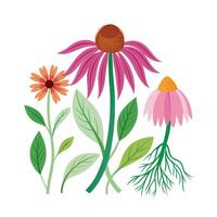 Hand drawn design botanical elements collection vector