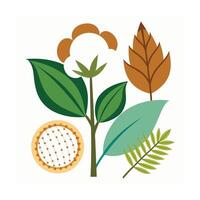 Hand drawn design botanical elements collection vector