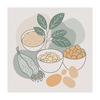 Hand drawn design botanical elements collection vector