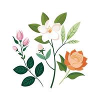 Hand drawn design botanical elements collection vector
