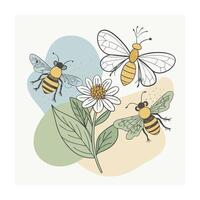 Hand drawn design botanical elements collection vector
