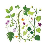 Hand drawn design botanical elements collection vector
