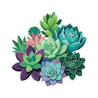 Hand drawn design botanical elements collection vector