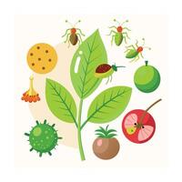 Hand drawn design botanical elements collection vector