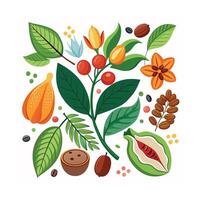 Hand drawn design botanical elements collection vector