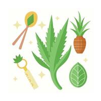 Hand drawn design botanical elements collection vector