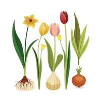 Hand drawn design botanical elements collection vector