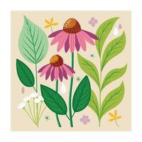 Hand drawn design botanical elements collection vector