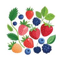 Hand drawn design botanical elements collection vector