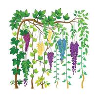 Hand drawn design botanical elements collection vector