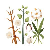 Hand drawn design botanical elements collection vector