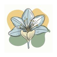 Hand drawn design botanical elements collection vector