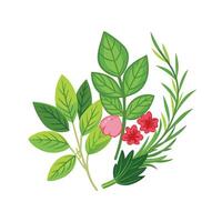 Hand drawn design botanical elements collection vector