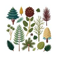 Hand drawn design botanical elements collection vector