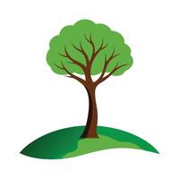 Different types of trees illustration vector