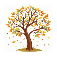 Different types of trees illustration vector
