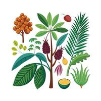 Hand drawn design botanical elements collection vector