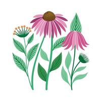 Hand drawn design botanical elements collection vector