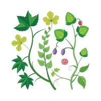 Hand drawn design botanical elements collection vector