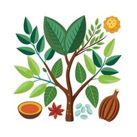 Hand drawn design botanical elements collection vector