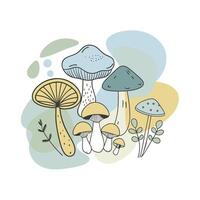 Hand drawn design botanical elements collection vector