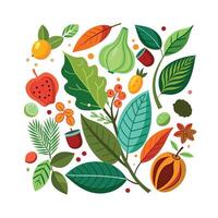 Hand drawn design botanical elements collection vector