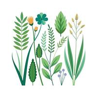 Hand drawn design botanical elements collection vector