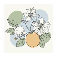 Hand drawn design botanical elements collection vector