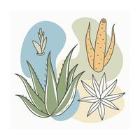 Hand drawn design botanical elements collection vector