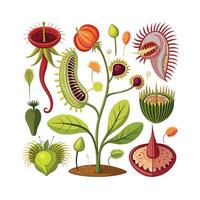 Hand drawn design botanical elements collection vector