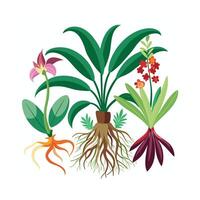 Hand drawn design botanical elements collection vector