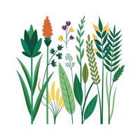 Hand drawn design botanical elements collection vector