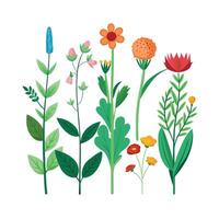 Hand drawn design botanical elements collection vector