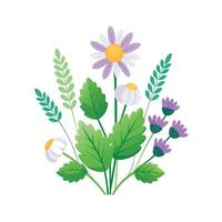 Hand drawn design botanical elements collection vector