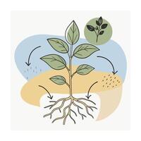 Hand drawn design botanical elements collection vector