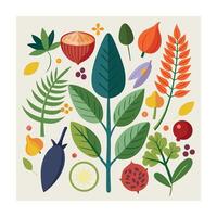 Hand drawn design botanical elements collection vector