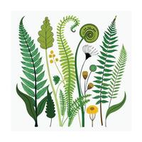 Hand drawn design botanical elements collection vector